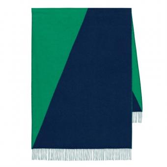 Hermes Casaque Stole In Green And Black Cashmere